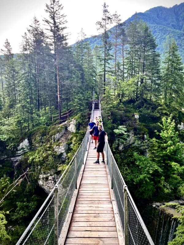 Bird Buddy employees