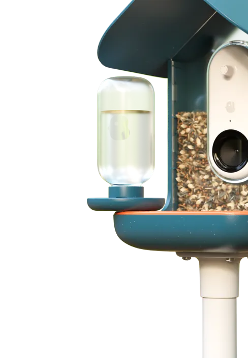 Water fountain and Universal mount