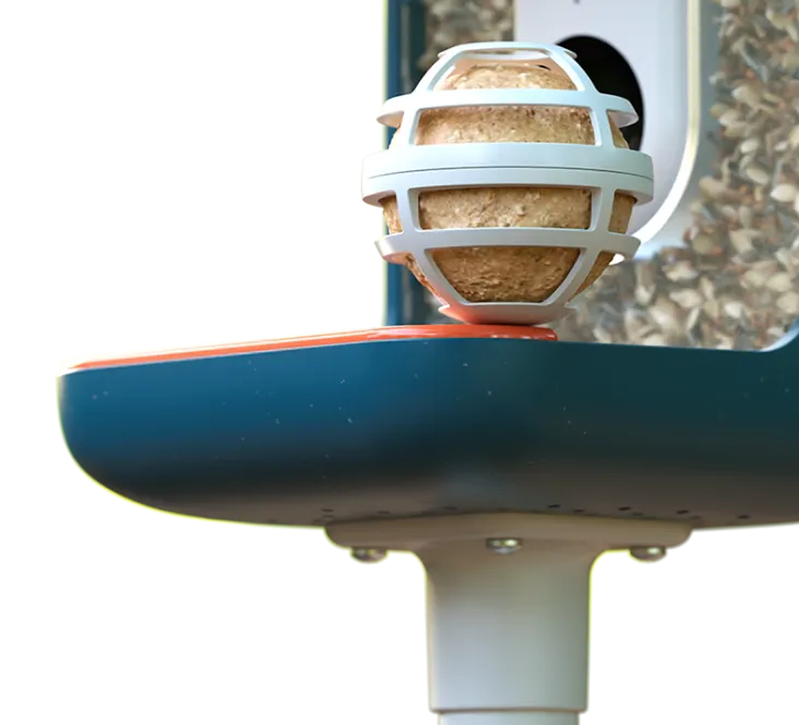 suet ball holder