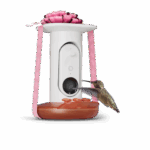 Smart Hummingbird Feeder Pro