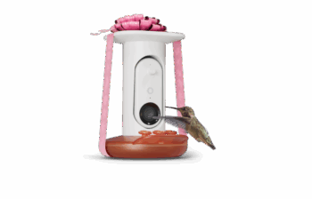 Smart Hummingbird Feeder Pro