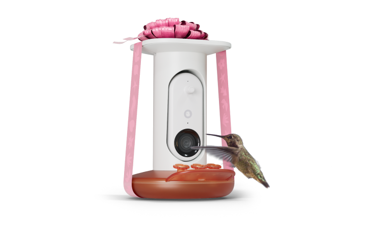 Smart Hummingbird Feeder Pro