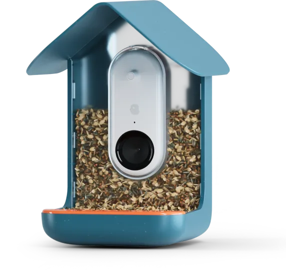 Blue Smart Bird Feeder