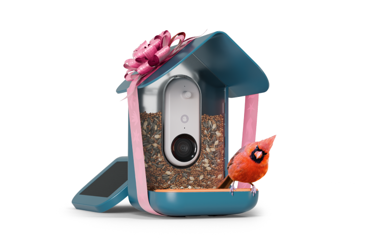 Birdbuddy Pro