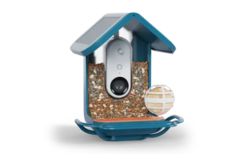 Gift of the Year Bundle