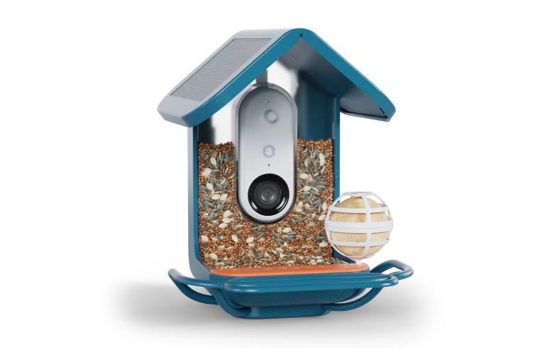 Birdbuddy Holiday Bundle